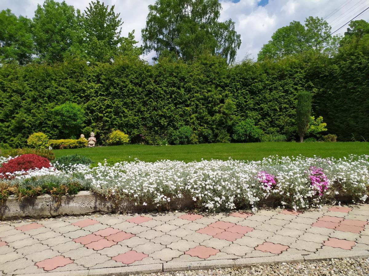 Apartmany Okoun Velké Losiny Exteriör bild